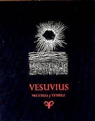 Vesuvious Book Cover an original silkscreen framed print by Arthur Secunda